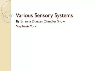 Various Sensory Systems