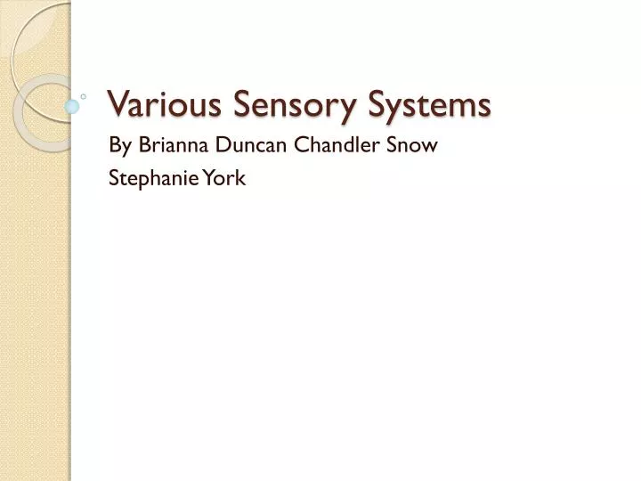 various sensory systems