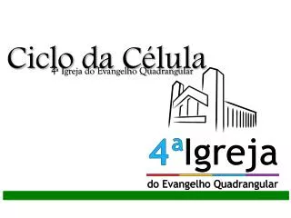 ciclo da c lula