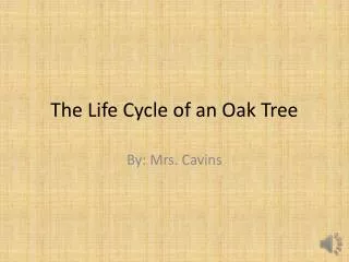 The Life Cycle of an Oak Tree