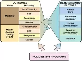 Hea lth Disparities by Sex