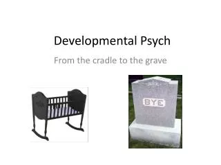 Developmental Psych