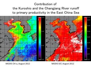 Contribution of the Kuroshio and the Changjiang River runoff