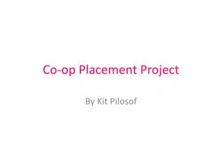 Co-op Placement Project