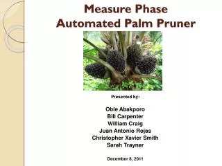 Measure Phase Automated Palm Pruner