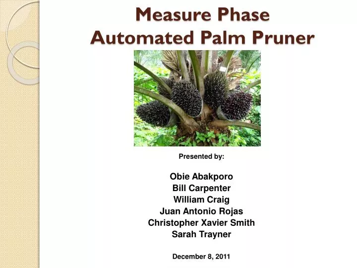 measure phase automated palm pruner