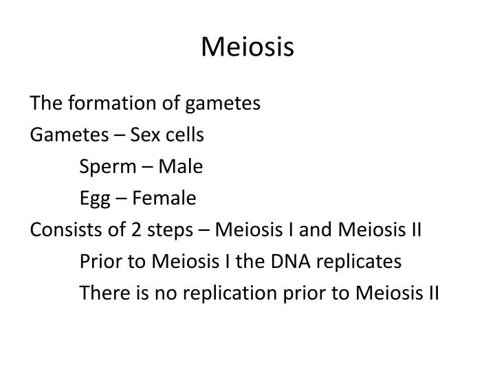 meiosis