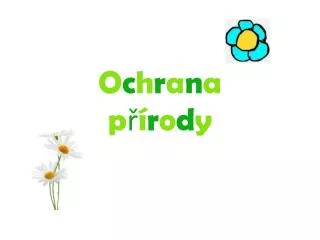 o c h r a n a p r o d y