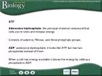 ATP - slide 1