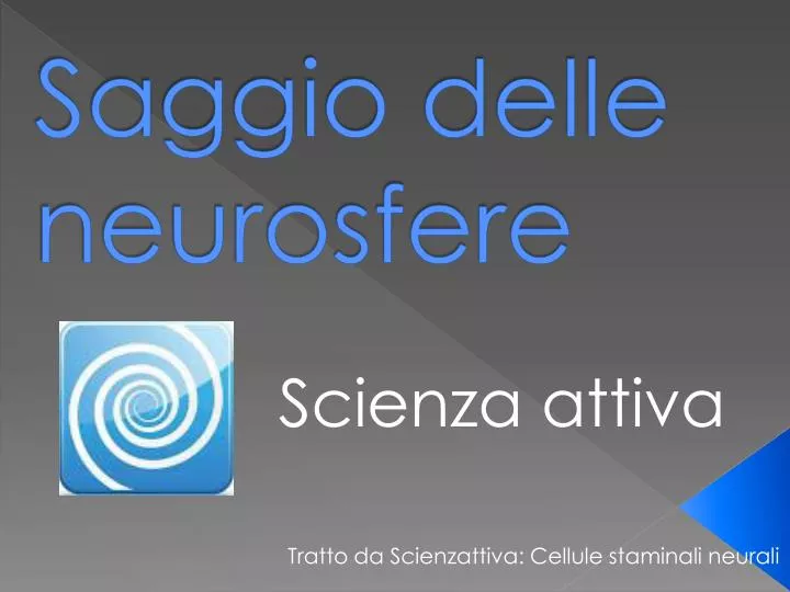 saggio delle neurosfere