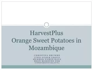HarvestPlus Orange Sweet Potatoes in Mozambique