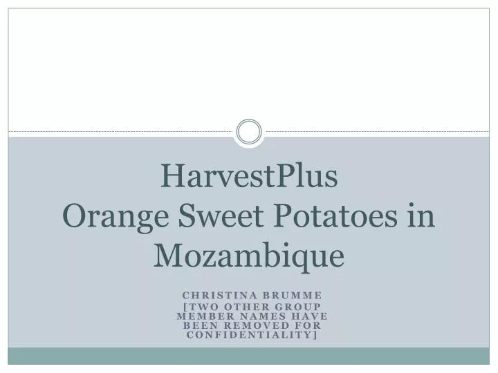 harvestplus orange sweet potatoes in mozambique