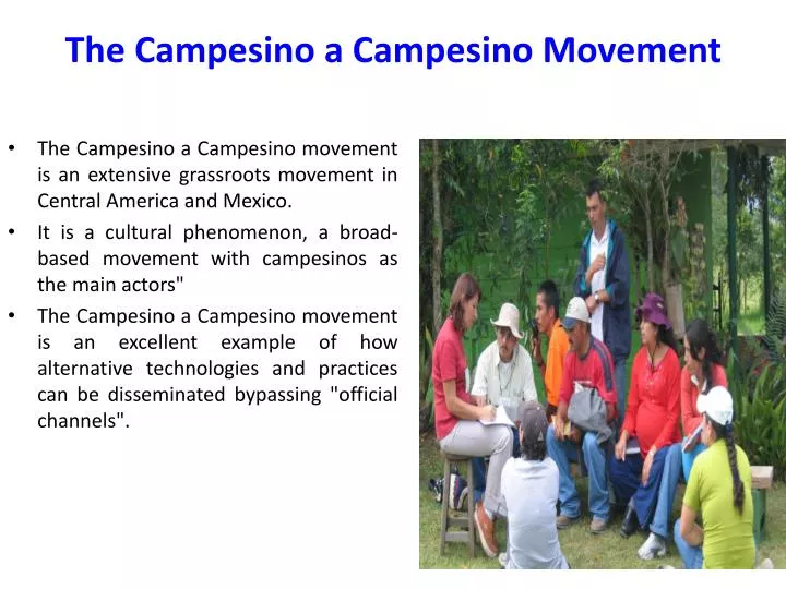the campesino a campesino movement