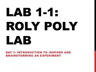 Lab 1-1: Roly Poly Lab