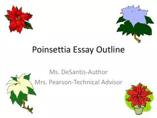 Poinsettia Essay Outline