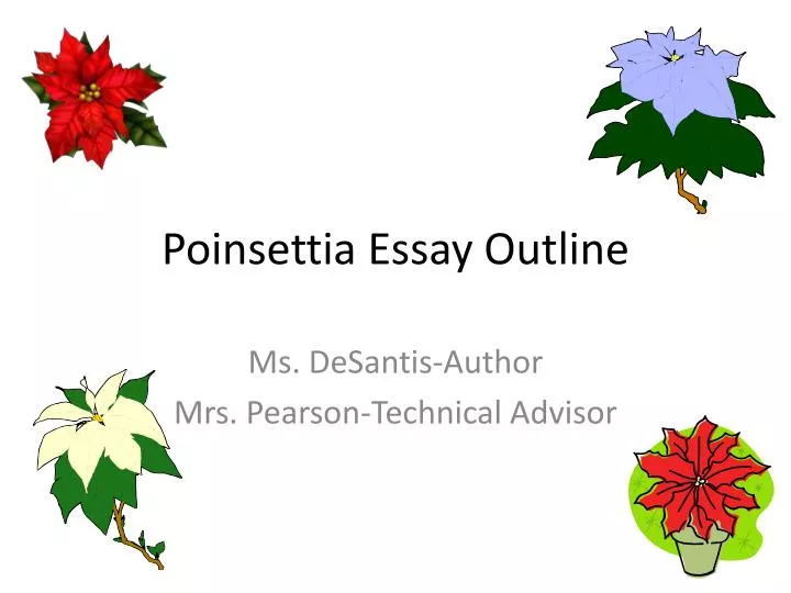 poinsettia essay outline