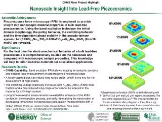 Nanoscale Insight Into Lead-Free Piezoceramics
