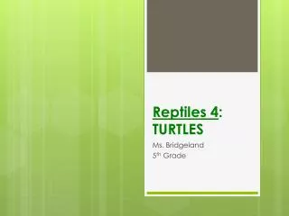 Reptiles 4 : TURTLES