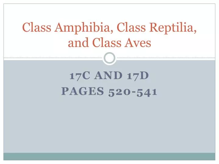 class amphibia class reptilia and class aves