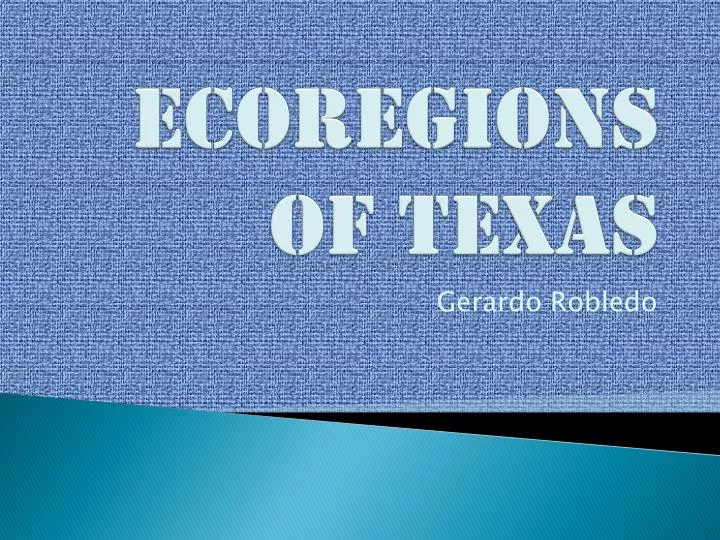 ecoregions of texas
