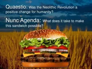 Quaestio : Was the Neolithic Revolution a positive change for humanity?