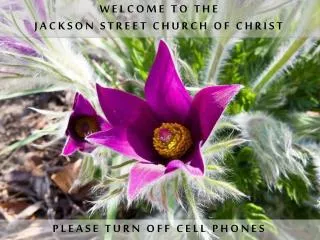 WELCOME TO THE JACKSON STREET CHURCH OF CHRIST