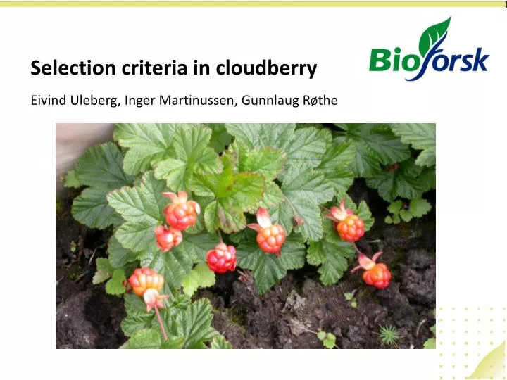 selection criteria in cloudberry eivind uleberg inger martinussen gunnlaug r the