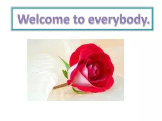Welcome to everybody.