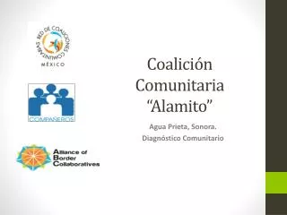 coalici n comunitaria alamito