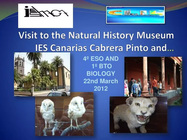 visit to the natural history museum ies canarias cabrera pinto and