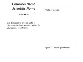 Common Name Scientific Name your name