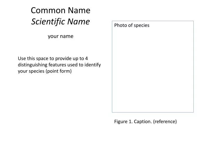 common name scientific name your name