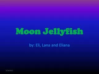 moon jellyfish