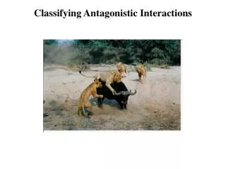 Classifying Antagonistic Interactions