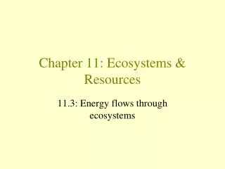 Chapter 11: Ecosystems &amp; Resources