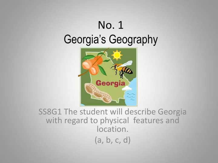 no 1 georgia s geography