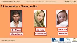 2 1 substantive genus artikel