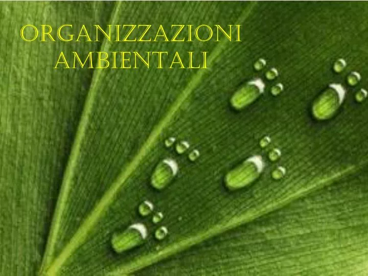 organizzazioni ambientali