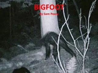 BIGFOOT By Sam Peery