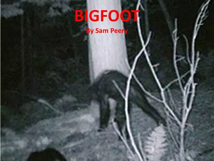 bigfoot by sam peery