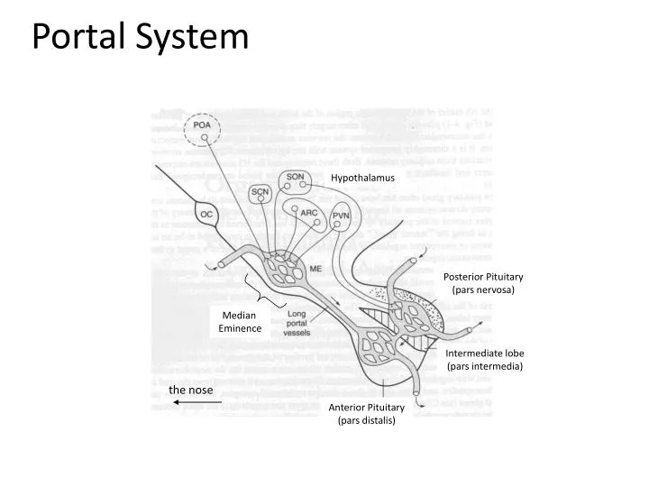portal system