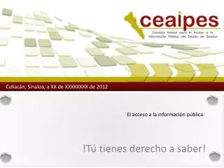 el acceso a la informaci n p blica