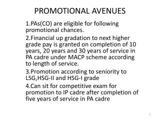 PROMOTIONAL AVENUES