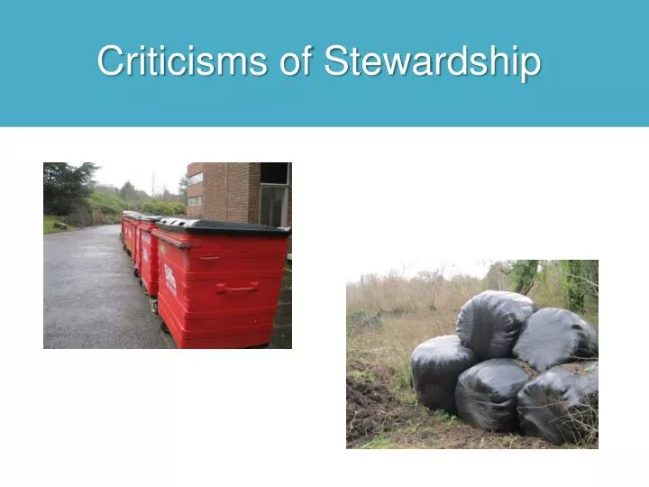 criticisms of stewardship