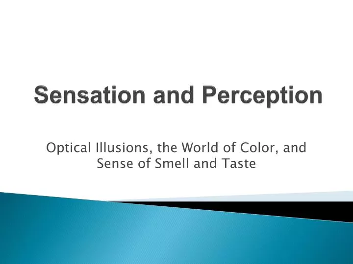 PPT - Sensation And Perception PowerPoint Presentation, Free Download ...