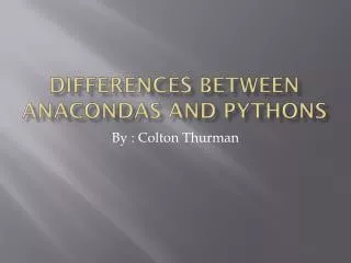 differences between anacondas and pythons