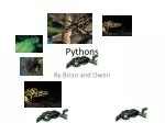 Pythons - slide 1
