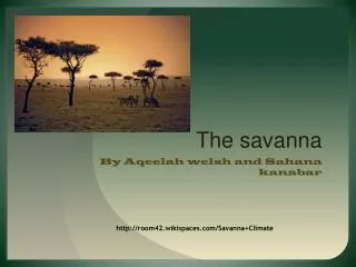 The savanna