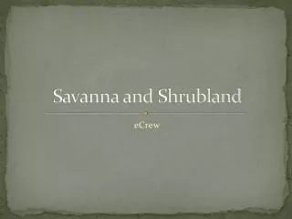 Savanna and Shrubland