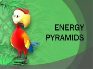 energy pyramids